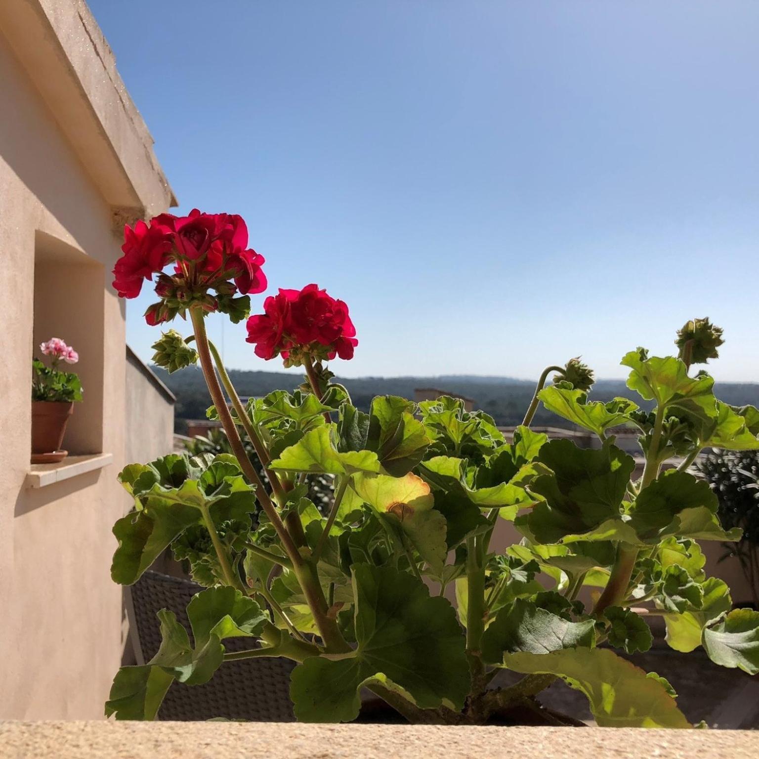 Vista De La Vila - Turismo De Interior. Льюби Номер фото